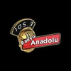 Anadolu Radyo