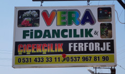 Vera Fidancılık & Çiçekçilik Ferforje Defne HİZMETE DEVAM EDİYOR!